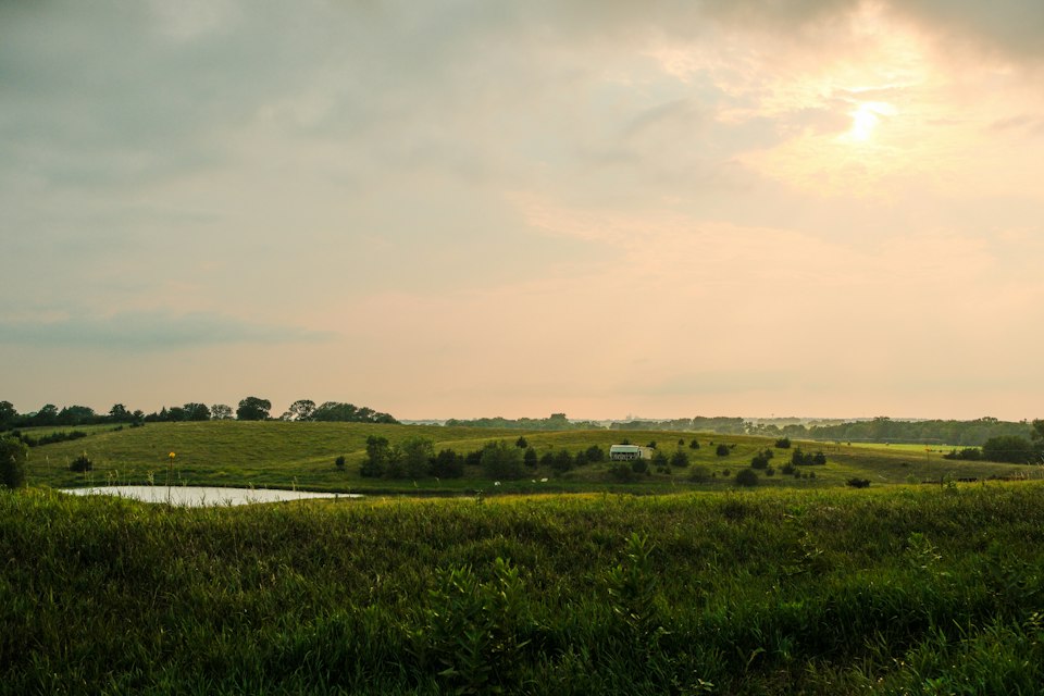 Small pond in a grassy field with farmland and trees beyond, under a hazy evening sky