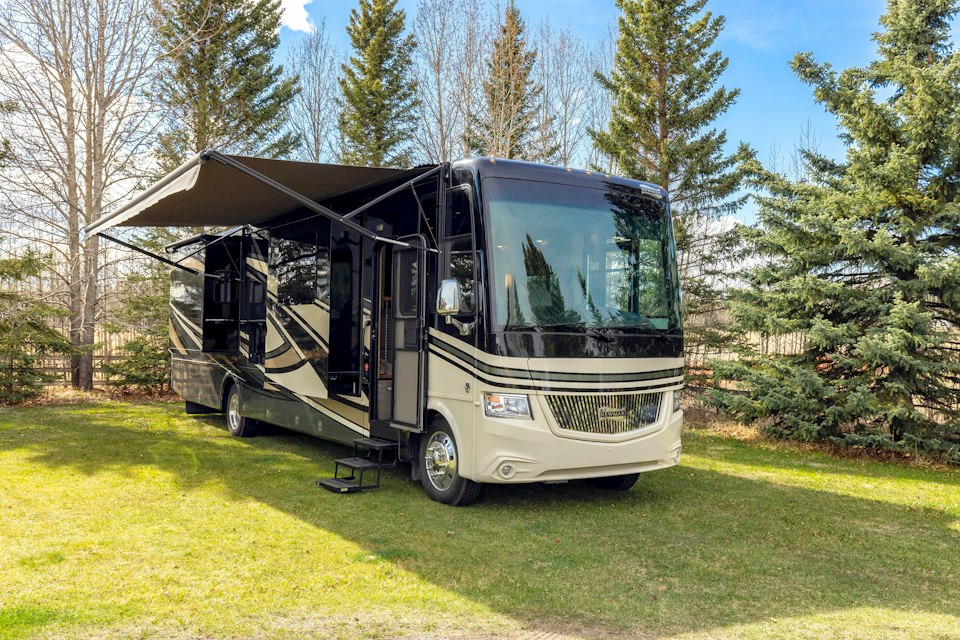 Large motor home parked on a grass area among evergreen trees